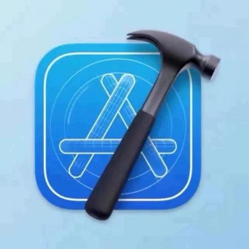 iOS 指导 开发者 申请 续费 单号